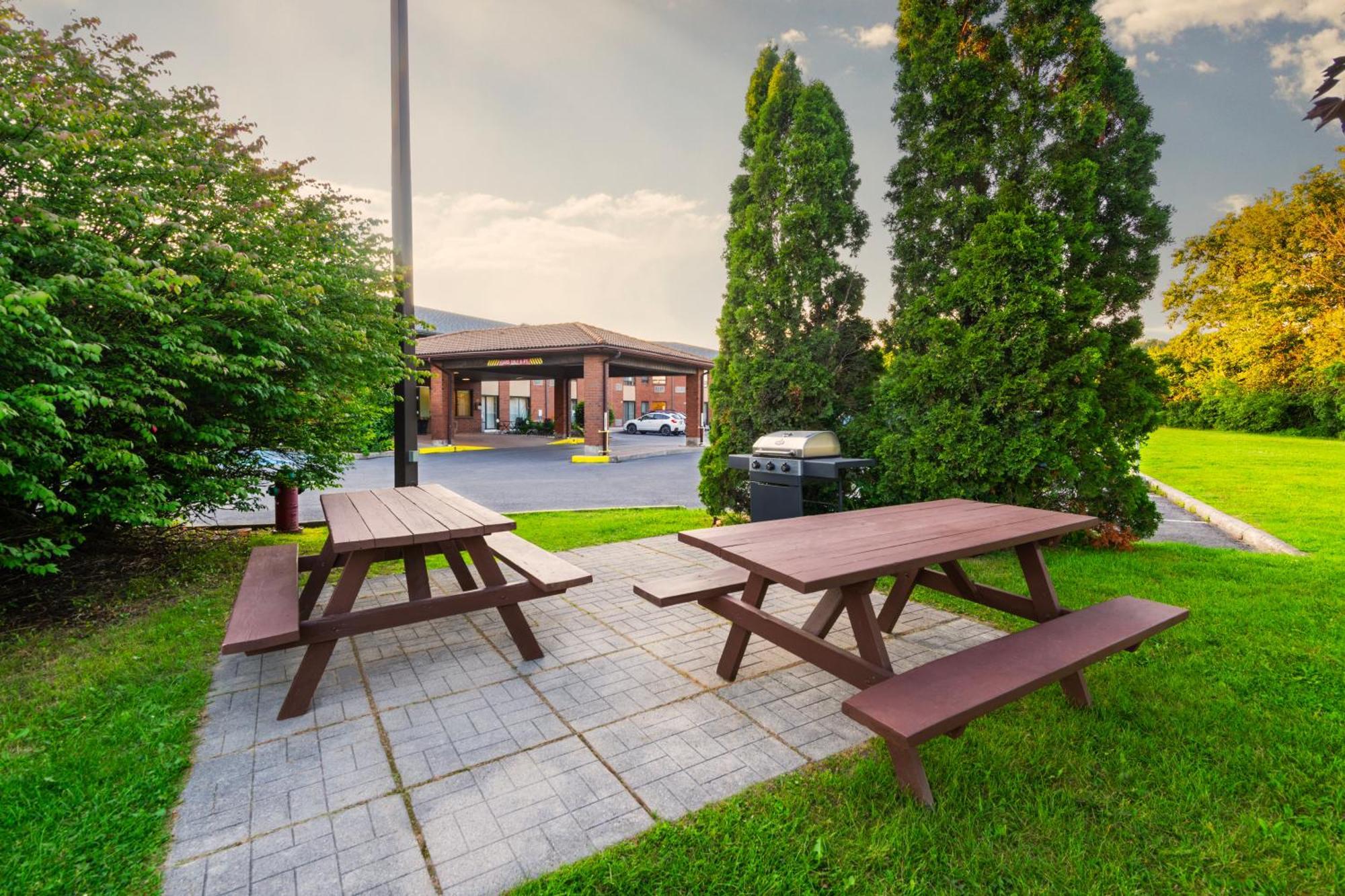 Comfort Inn Hwy 401 Kingston Eksteriør billede